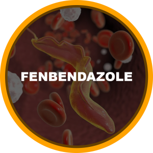 Fenbendazole